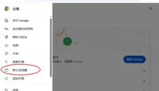 谷歌浏览器 截图