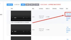 万能嗅探下载器 截图