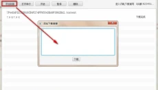 闪电下载 截图