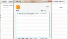 闪电下载 截图
