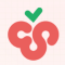 cherrystudio