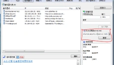 emule电驴 截图
