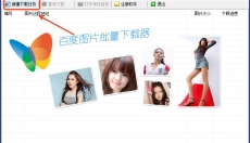 百度图片批量下载器 截图