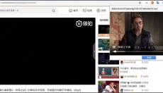 猫抓插件 截图