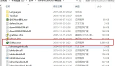IDM下载器 截图