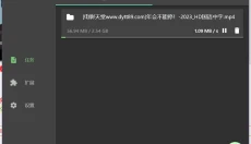 Gopeed 截图