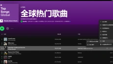 SpotiFLAC 截图