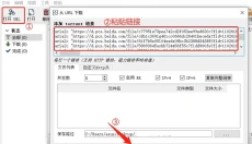 Xdown下载器 截图