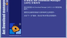 Ant Download Manager 截图