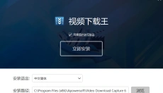 Apowersoft视频下载王 截图