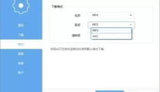 Apowersoft视频下载王 截图