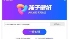 柚子壁纸 截图