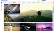 柚子壁纸 截图