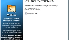 WizTree 截图