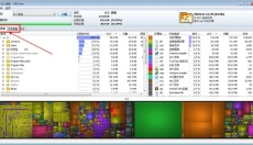 WizTree 截图