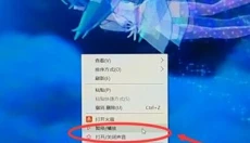 火萤视频壁纸 截图