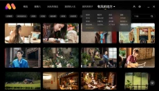 芒果壁纸电脑版 截图