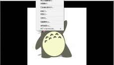IrfanView 截图