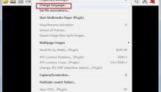 IrfanView 截图