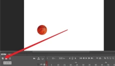 Adobe Animate 截图