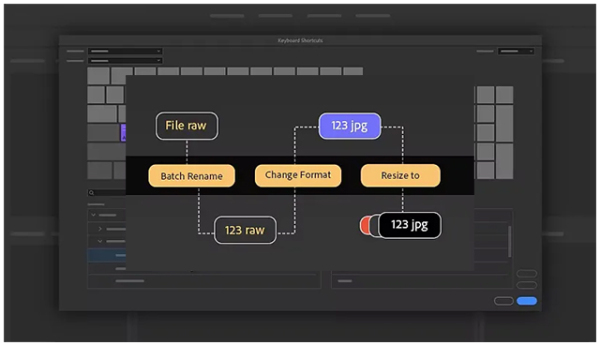 Adobe Bridge