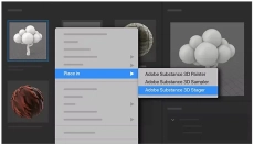 Adobe Bridge 截图