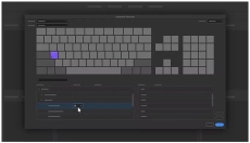 Adobe Bridge 截图