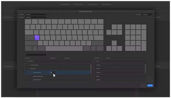 Adobe Bridge