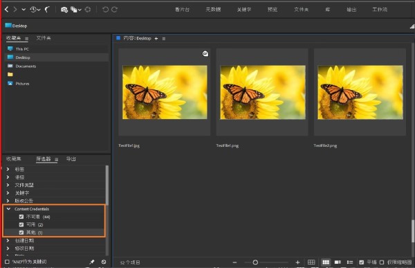 Adobe Bridge