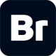 Adobe Bridge