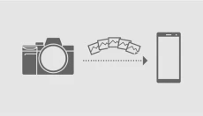 Imaging Edge 截图
