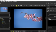 nx studio 截图