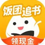 饭团追书