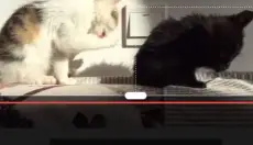 剪映 截图
