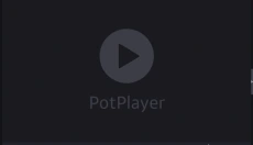 potplayer电脑版 截图