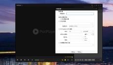 PotPlayerpc版 截图