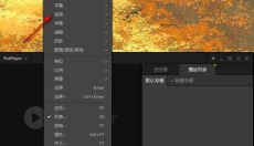 PotPlayerpc版 截图