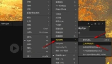 PotPlayerpc版 截图