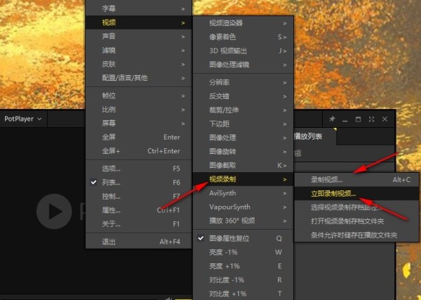 PotPlayerpc版