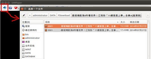 SMPlayer
