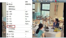 SMPlayer 截图