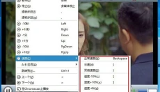 SMPlayer 截图