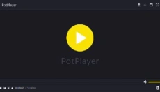 potplayer 截图