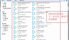 potplayer 截图