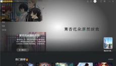 动漫共和国PC版 截图