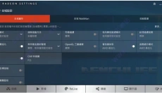 AMD Adrenalin Edition 截图