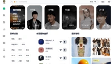 AlgerMusicPlayer 截图