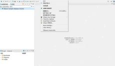 DBeaver 截图