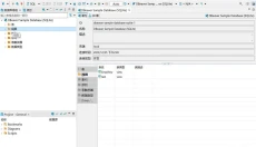 DBeaver 截图