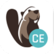 DBeaver